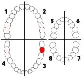 System Viohla System Viohla